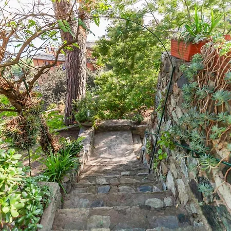 Al Grande Pino - A Picco Sul Mare Tatil Evi Arenzano