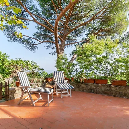 Al Grande Pino - A Picco Sul Mare Casa vacanze *
